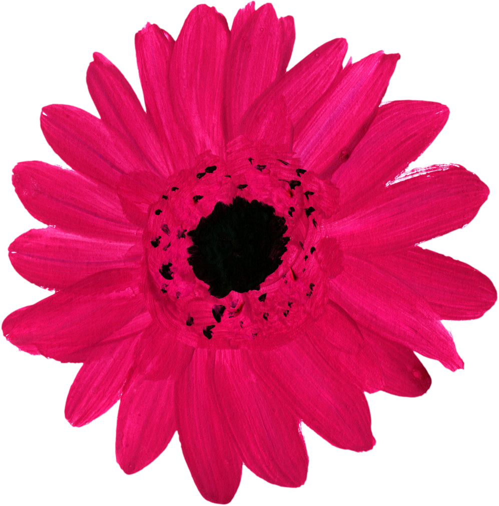 Magenta Painted Flower